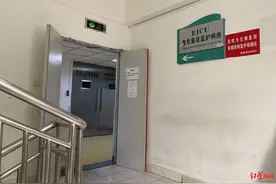 网红拉姆遭前夫纵火焚烧重度烧伤，已转院成都 表姐：她病情危重仍重度昏迷图片