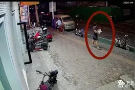 气人！女子把别人的布偶猫抱回家，没过几天又扔了图片