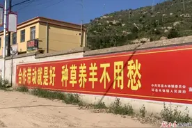 养致富金羊 筑产业高地——环县完善现代肉羊产业体系推动高质量发展扫描图片