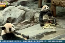 足不出户就能看神奇动物？一切尽在《百科动物园》图片