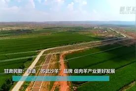 甘肃民勤：打造“苏武沙羊”品牌 促肉羊产业更好发展视频封面