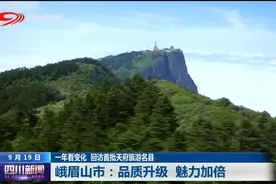 四川新闻丨峨眉山市：品质升级 魅力加倍图片