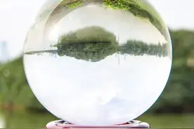 换个角度看海珠湿地，给你不一样的震撼！图片