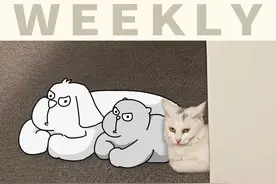 这4个女孩谁在调情？研究发现了“挑逗”的编码｜WEEKLY图片