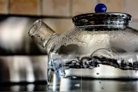 不就是个烧水的，为何有的卖几十有的却要几百？图片