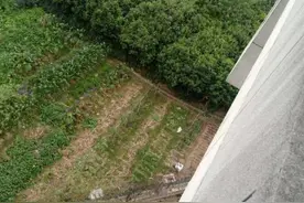 16岁女孩开学首日坠楼身亡！校内事发位置监控全坏，警方排除他杀图片