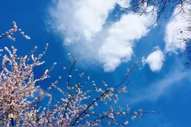 慢慢来，也许会比较快图片