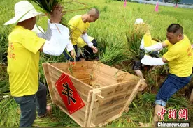 迎中国农民丰收节 福建农民田间地头享丰收图片