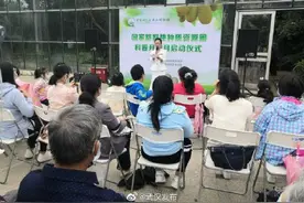 麻辣味的猕猴桃吃过吗？“奇异”试吃会来啦图片