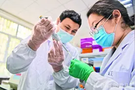 塔里木大学近七成毕业生扎根南疆图片