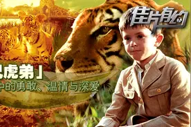 《虎兄虎弟》影评：与猛虎对视 感受自然中的亲情与深爱图片