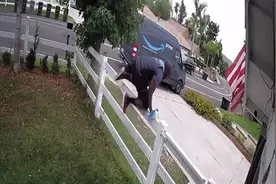 快递员上门送货突遭大狗狂追 转身逃跑轻松跨过院围栏引网友大赞图片