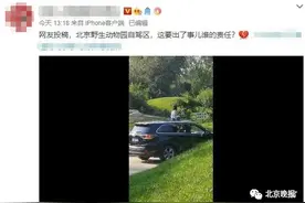 北京野生动物园里女孩坐车顶游园！网友：自动投食？图片