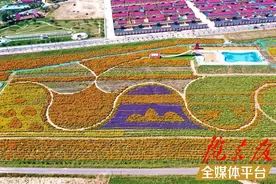 攻略丨双节乐游庆阳之环县游图片