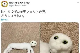 都流行拿宠物掉的毛做毛毡玩偶.. 但网友这波毛毡做的都什么鬼啊哈哈哈哈图片