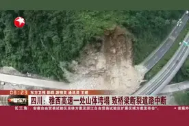 四川：雅西高速一处山体垮塌  致桥梁断裂道路中断视频封面
