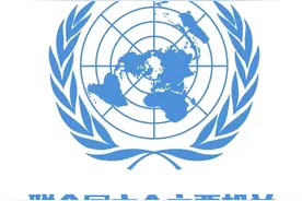 双语科普：联合国及其六个主要机关图片
