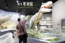 闭馆8个月后 宜昌博物馆恢复开放 团队预约暂不受理图片