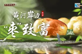 扶贫特别节目·黄河岸边“枣”致富视频封面
