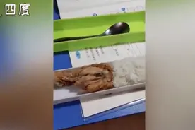 男孩从学校带鸡腿给妈妈吃，被劝阻后仍坚持分享，网友：太暖了图片