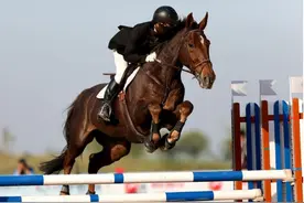 倒计2天！想当国家马术裁判，速报名图片