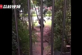 超可爱！5岁小男孩放学帮父母送外卖 妈妈：他超懂事图片