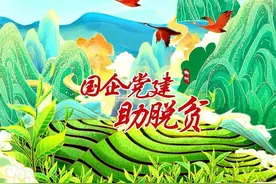 【国企篇系列之五】柳州金融集团：写好产业精准帮扶“大文章”图片