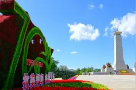 杨应森：英雄的生命开鲜花——唱在抗美援朝纪念塔下的英雄赞歌图片