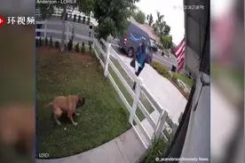 快递员送货时被大狗追吓到一秒翻越栅栏 房主：狗子只是想求摸摸图片