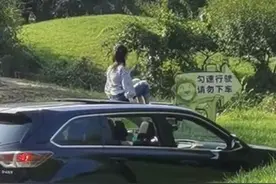 北京野生动物园回应“游客坐车顶游览自驾区”：小朋友随机行为图片