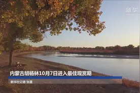 内蒙古胡杨林10月7日进入最佳观赏期