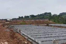投资1亿元 四川荣县在建一个年出栏6万头生猪养殖场图片