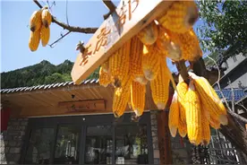 潍坊青州市：打造“网红民宿”发展“旅游经济”图片