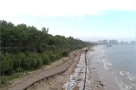 河北秦皇岛：水清滩净渤海湾图片