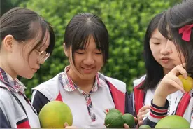 “我酸了”！生物课，这群师生在校园摘瓜果体验秋收图片