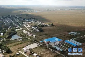 黑龙江五常：甜粘玉米助农脱贫增收图片