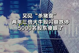 又见“杀猪盘”！两年三倍大牛股闪崩跌停，5000名股东傻眼了视频封面