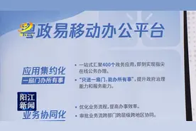阳江“粤政易”激活率达100% 位居全省第一图片