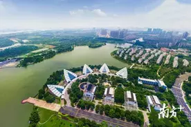 逐梦创新创业，港澳青年为什么选择来东莞？图片