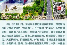 接轨大上海“嘉”速兴起来图片