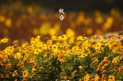 今日秋分！这些和“秋分”有关的知识一定要给孩子讲讲