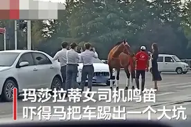 女车主鸣笛惊吓致马儿惊慌，山东街头一真马撞上玛莎拉蒂图片