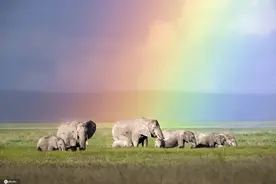 一不小心误入仙境！这样的风景“人间值得”图片