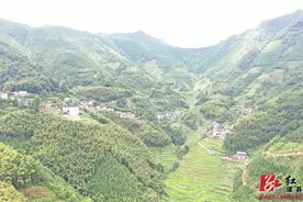 忠诚之路④丨陈树湘洪水箐村突出重围图片