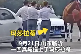 山东街头真马撞上玛莎拉蒂，车主鸣笛惊吓致马儿惊慌图片