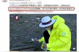 综艺嘉宾“摘雪莲”惹众怒，快来认识这些珍贵野生植物，避免踩雷图片
