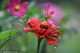 四季之歌｜夏尽秋分日图片