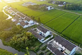 “十字水街”“田字绿廊”“浦江第一湾”……奉贤要绘就独特城市意象图片