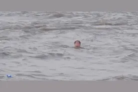 崇明长江口自驾游，狗狗跳江叼饮料瓶被冲走，男子救狗险些也被冲走了……图片