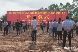 稳住“菜篮子”！陆川生猪生产产能加快恢复，下一步将做好这些工作……图片